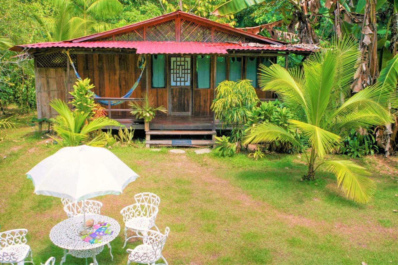 San Pedrillo Ocean Forest Ecolodge מראה חיצוני תמונה