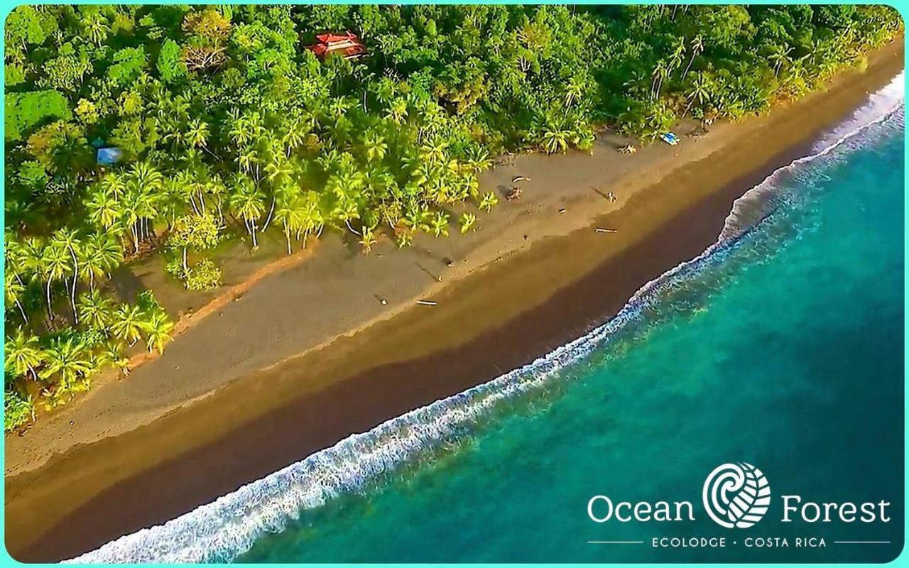 San Pedrillo Ocean Forest Ecolodge מראה חיצוני תמונה