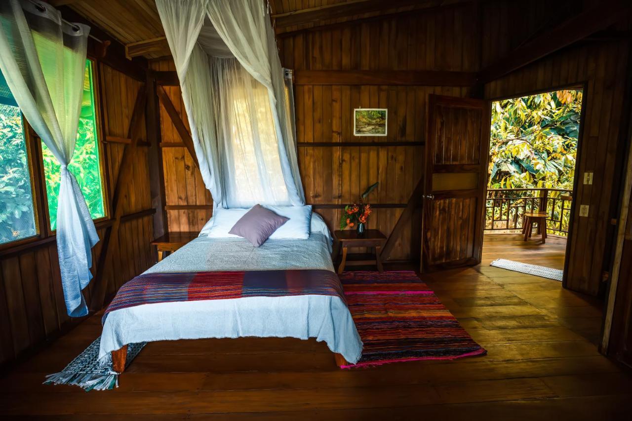 San Pedrillo Ocean Forest Ecolodge מראה חיצוני תמונה