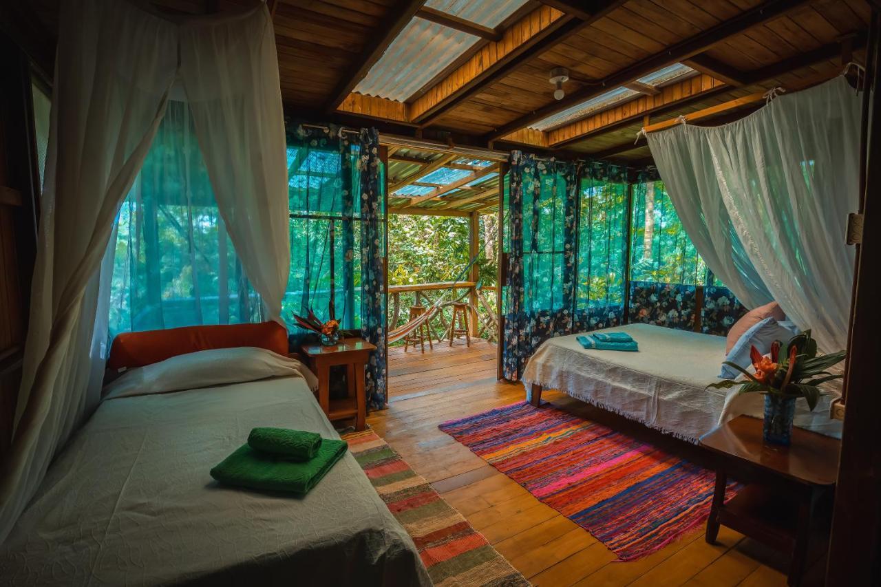 San Pedrillo Ocean Forest Ecolodge מראה חיצוני תמונה