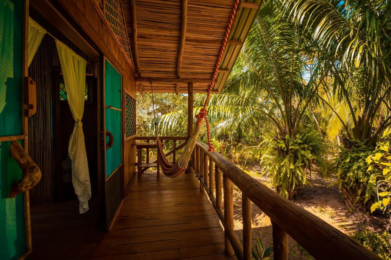 San Pedrillo Ocean Forest Ecolodge מראה חיצוני תמונה