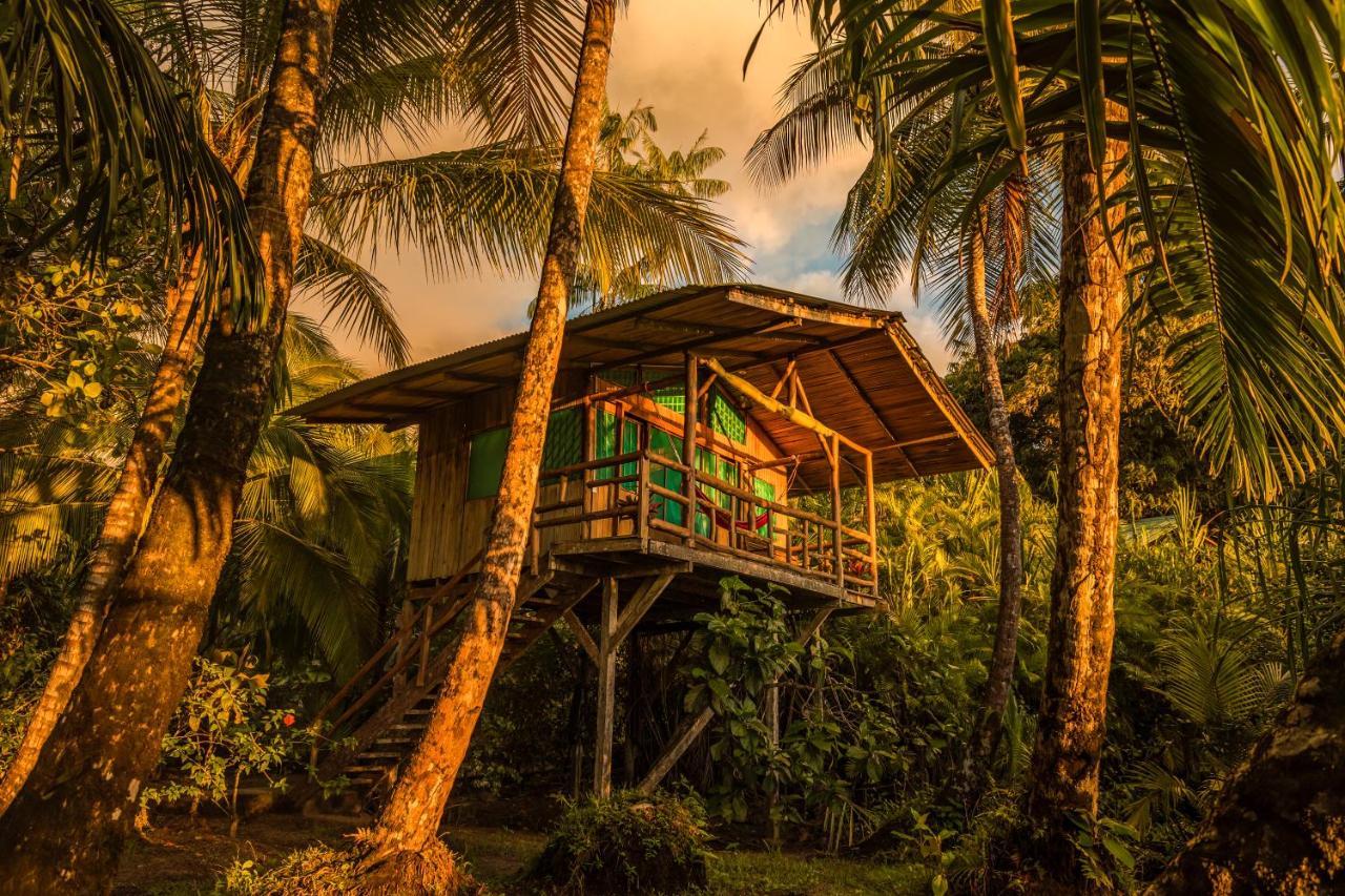 San Pedrillo Ocean Forest Ecolodge מראה חיצוני תמונה