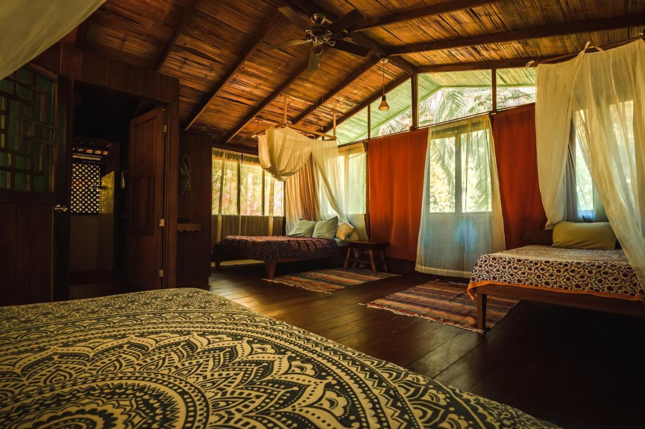 San Pedrillo Ocean Forest Ecolodge מראה חיצוני תמונה