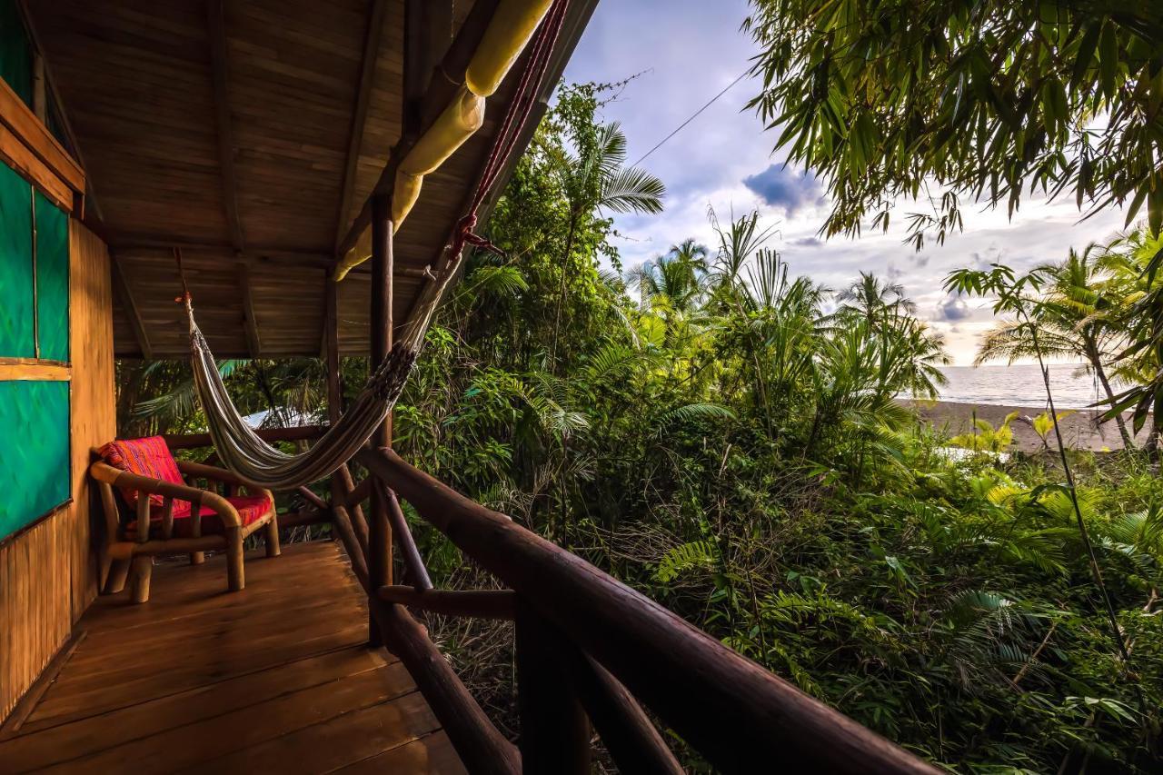 San Pedrillo Ocean Forest Ecolodge מראה חיצוני תמונה