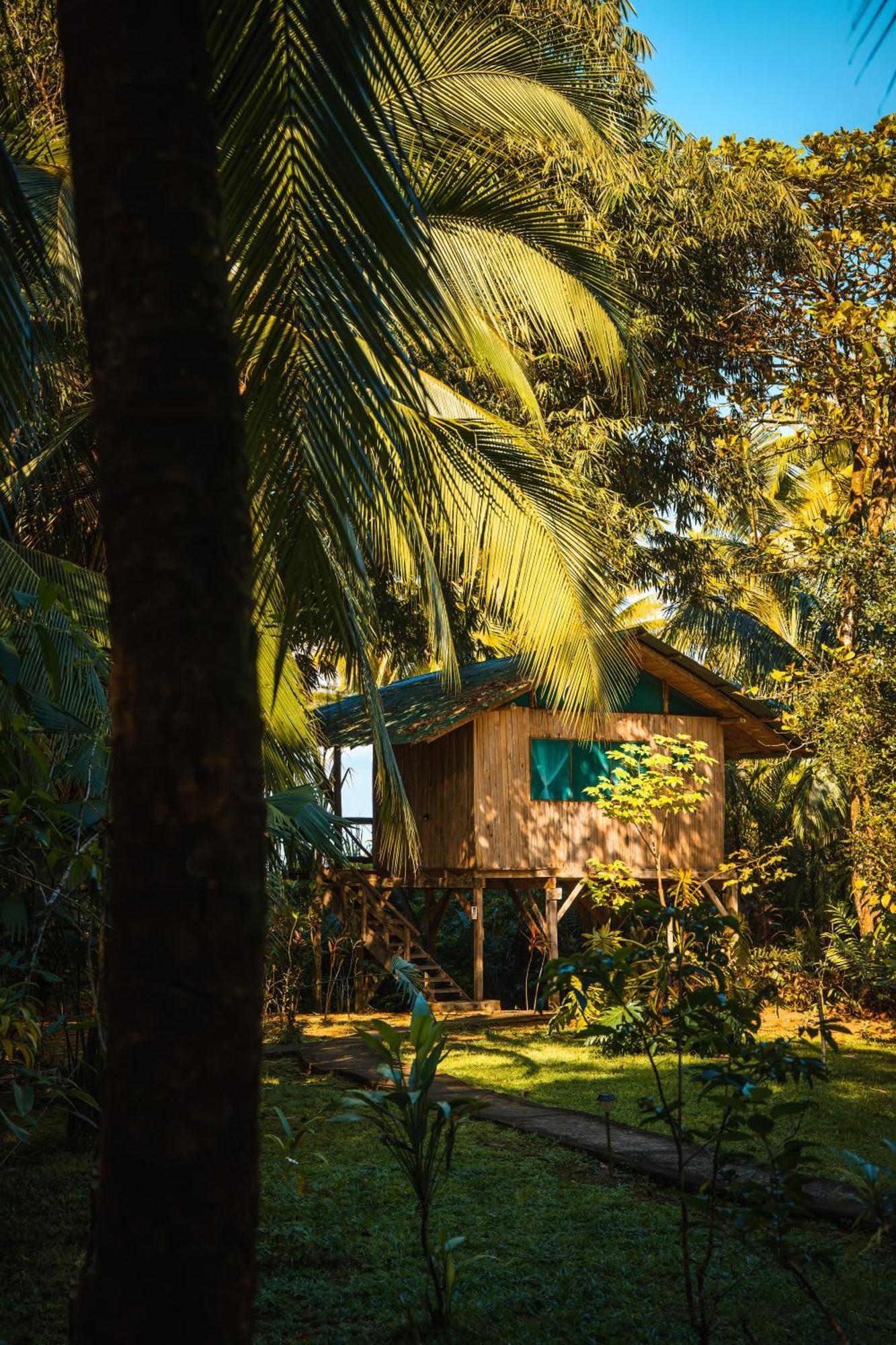 San Pedrillo Ocean Forest Ecolodge מראה חיצוני תמונה
