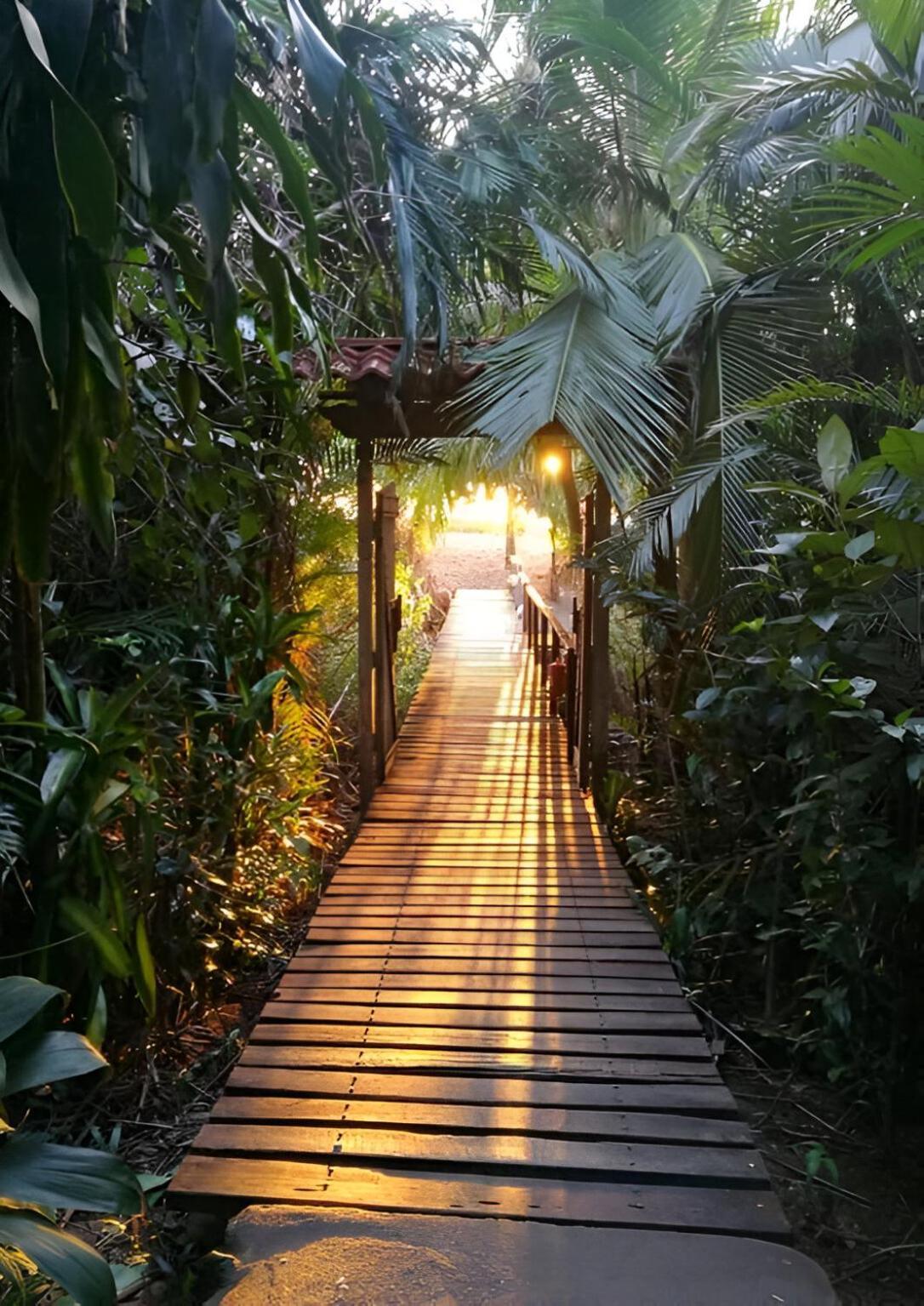 San Pedrillo Ocean Forest Ecolodge מראה חיצוני תמונה