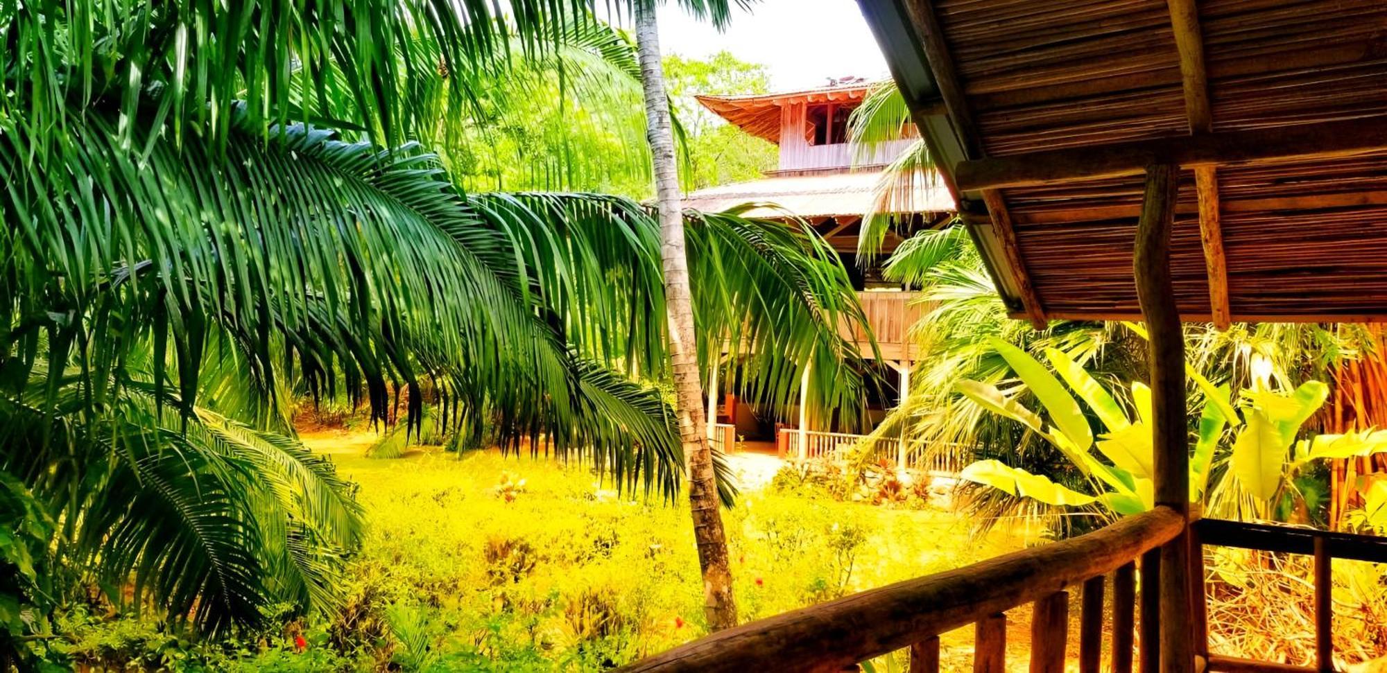 San Pedrillo Ocean Forest Ecolodge מראה חיצוני תמונה