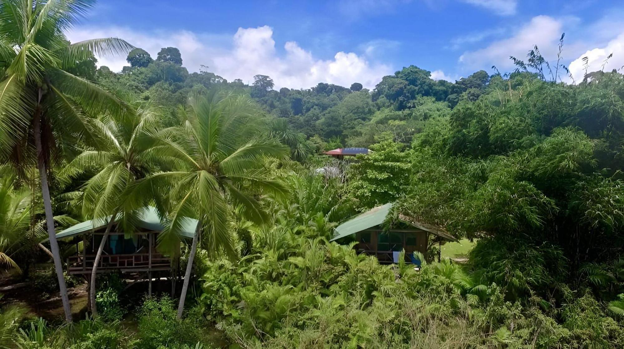 San Pedrillo Ocean Forest Ecolodge מראה חיצוני תמונה