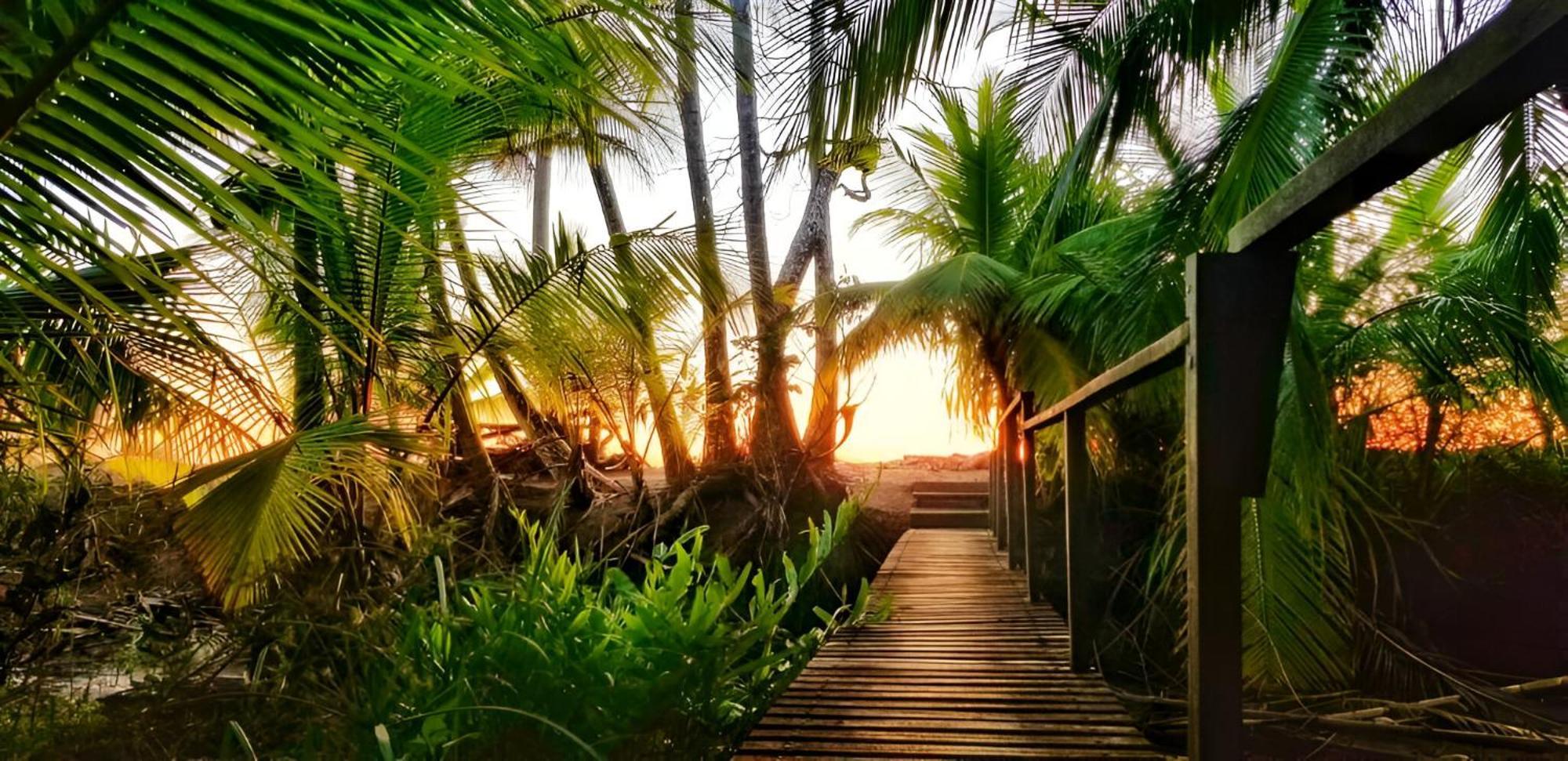 San Pedrillo Ocean Forest Ecolodge מראה חיצוני תמונה