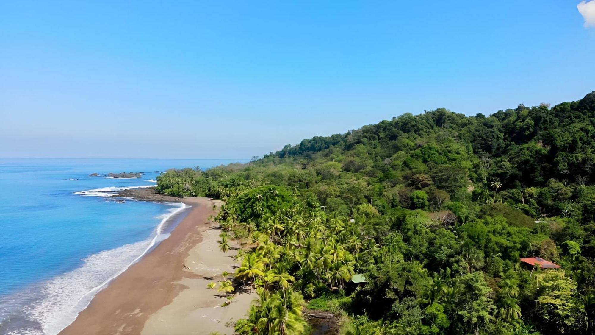 San Pedrillo Ocean Forest Ecolodge מראה חיצוני תמונה