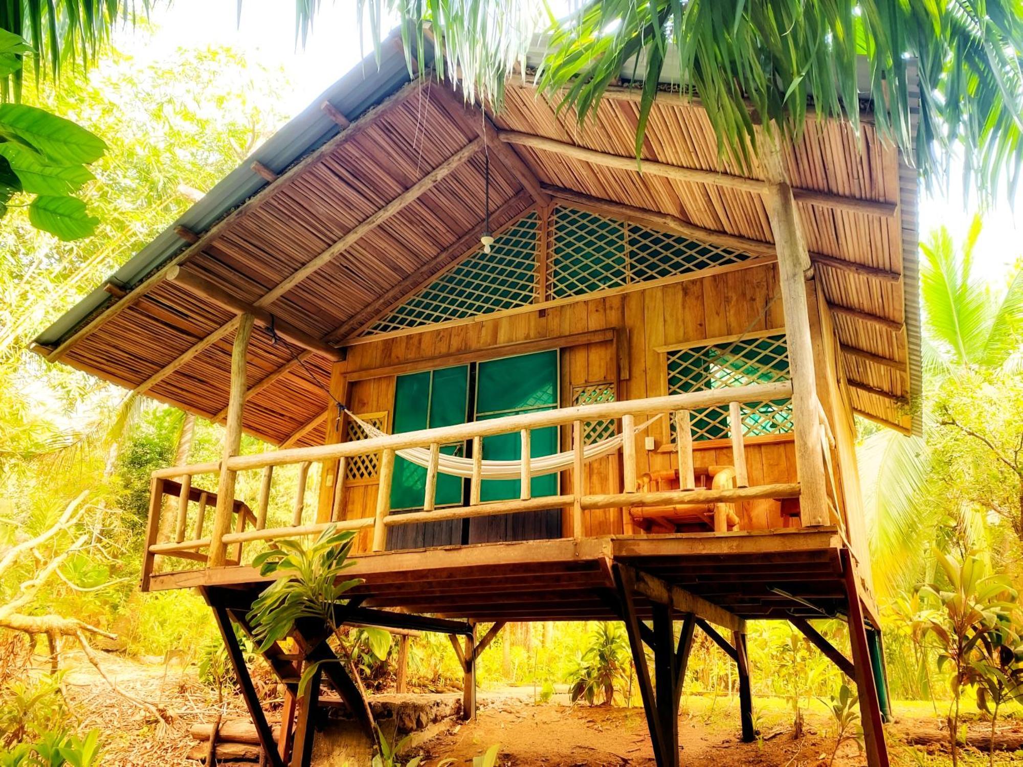 San Pedrillo Ocean Forest Ecolodge מראה חיצוני תמונה