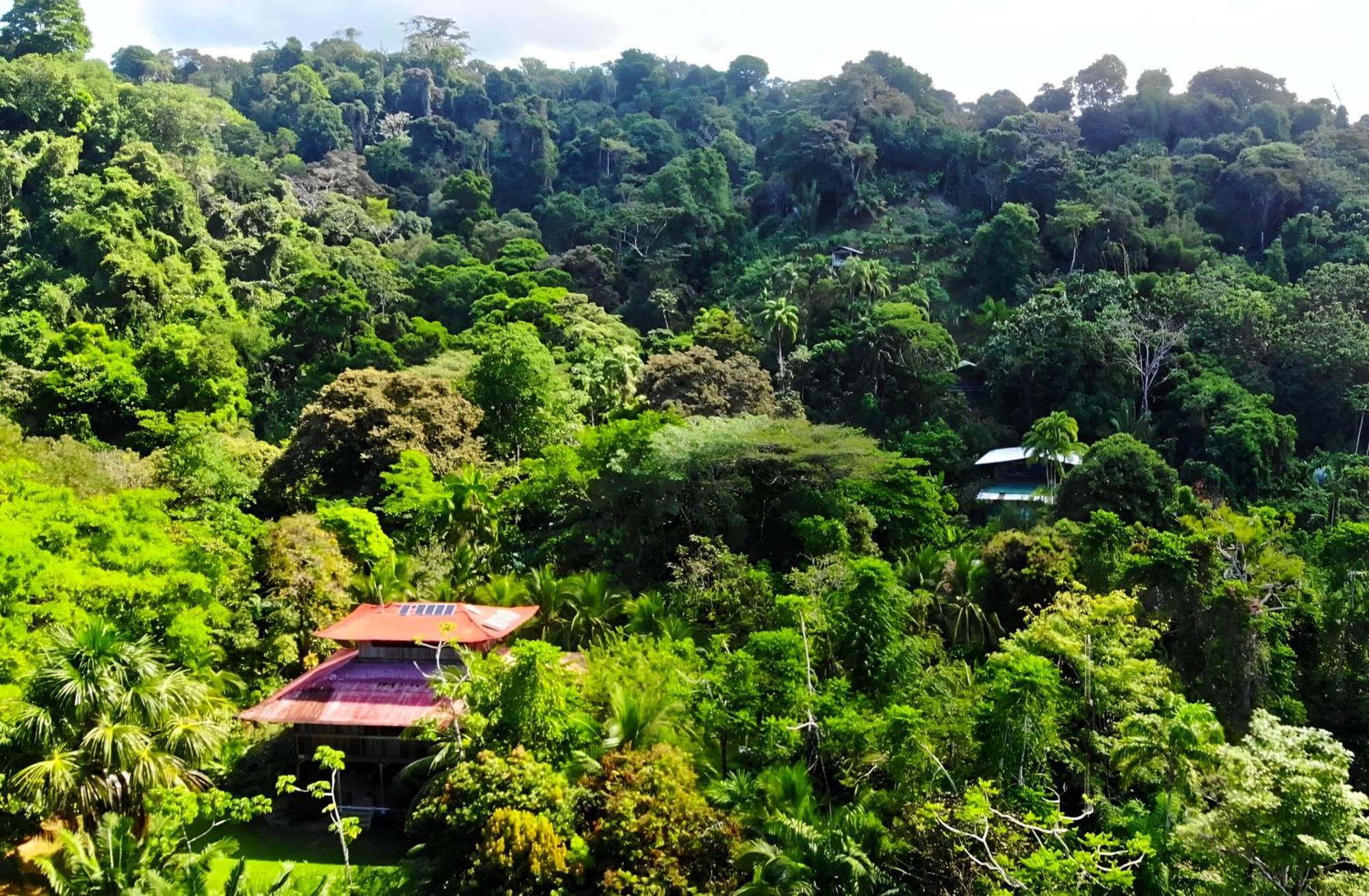 San Pedrillo Ocean Forest Ecolodge מראה חיצוני תמונה